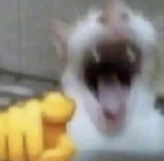 �������ж��Ϸ�����������Щ