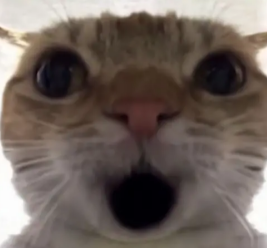 �������ж��Ϸ�����������Щ