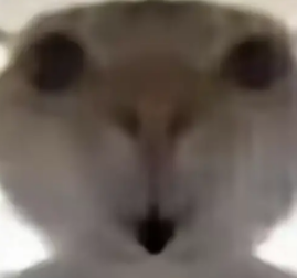 �������ж��Ϸ�����������Щ