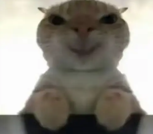 �������ж��Ϸ�����������Щ