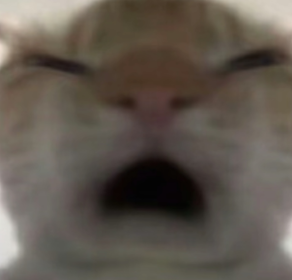 �������ж��Ϸ�����������Щ