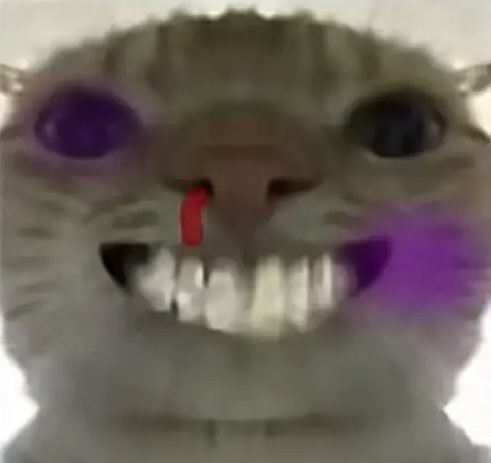 �������ж��Ϸ�����������Щ