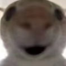 �������ж��Ϸ�����������Щ