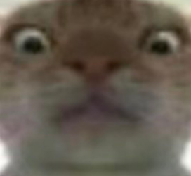 �������ж��Ϸ�����������Щ