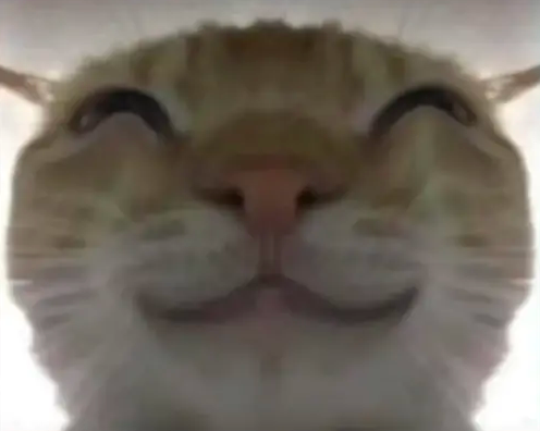 �������ж��Ϸ�����������Щ