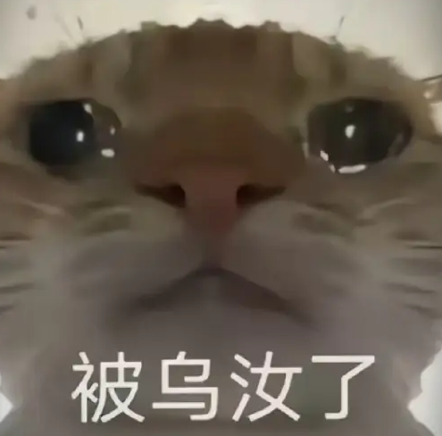 �������ж��Ϸ�����������Щ