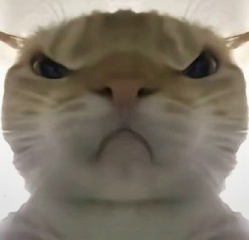 �������ж��Ϸ�����������Щ