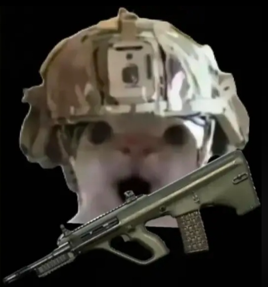 �������ж��Ϸ�����������Щ