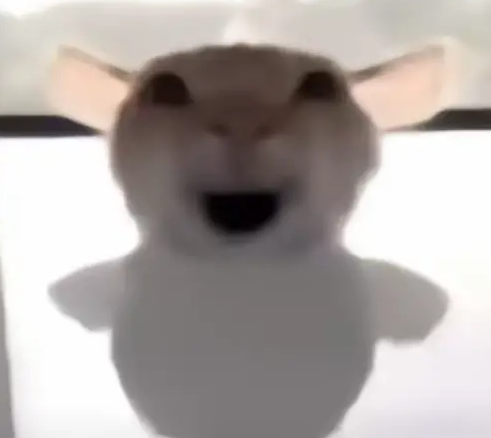 �������ж��Ϸ�����������Щ