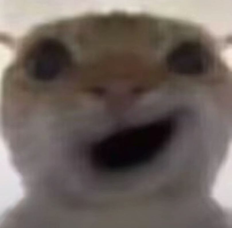 �������ж��Ϸ�����������Щ