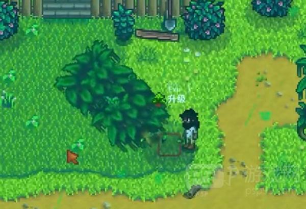 ��¶�����������¼���ô���