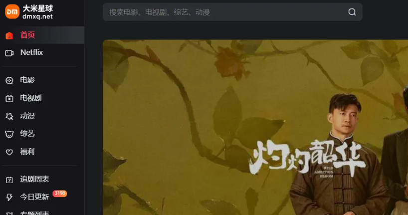 ��������netflix�ʺ������Ľ�