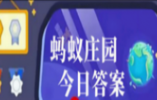 ����ׯ԰���մ�����11.6_2024��֧����11��6����ׯ԰���մ�