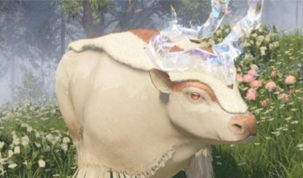 ����ůů��ϯ��ţ�������ʲô_����ůů��ϯ��ţ����𰸽���