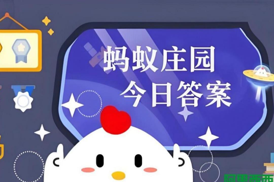 ����ׯ԰�������ʲô2025.7.19_2025֧����7��19��С��������մ�һ��