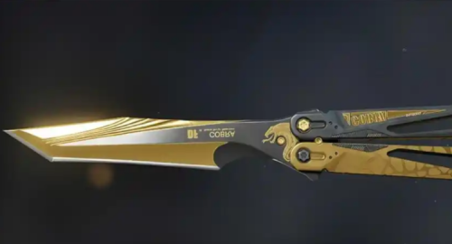 �������ж��µ�Ƥ��������Ǯ_�������ж��µ�Ƥ�����۸�һ��